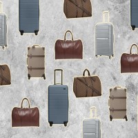 Suitcase, Briefcases & Bags