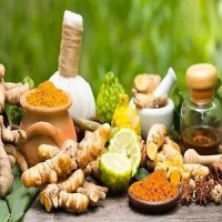Herbal And Ayurvedic Extract