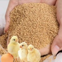 Poultry, Animal Feed & Bird Food